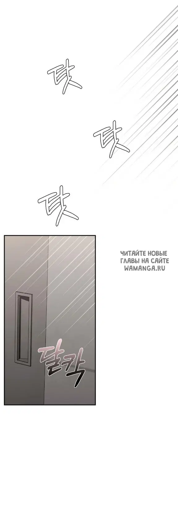 Page 51.000