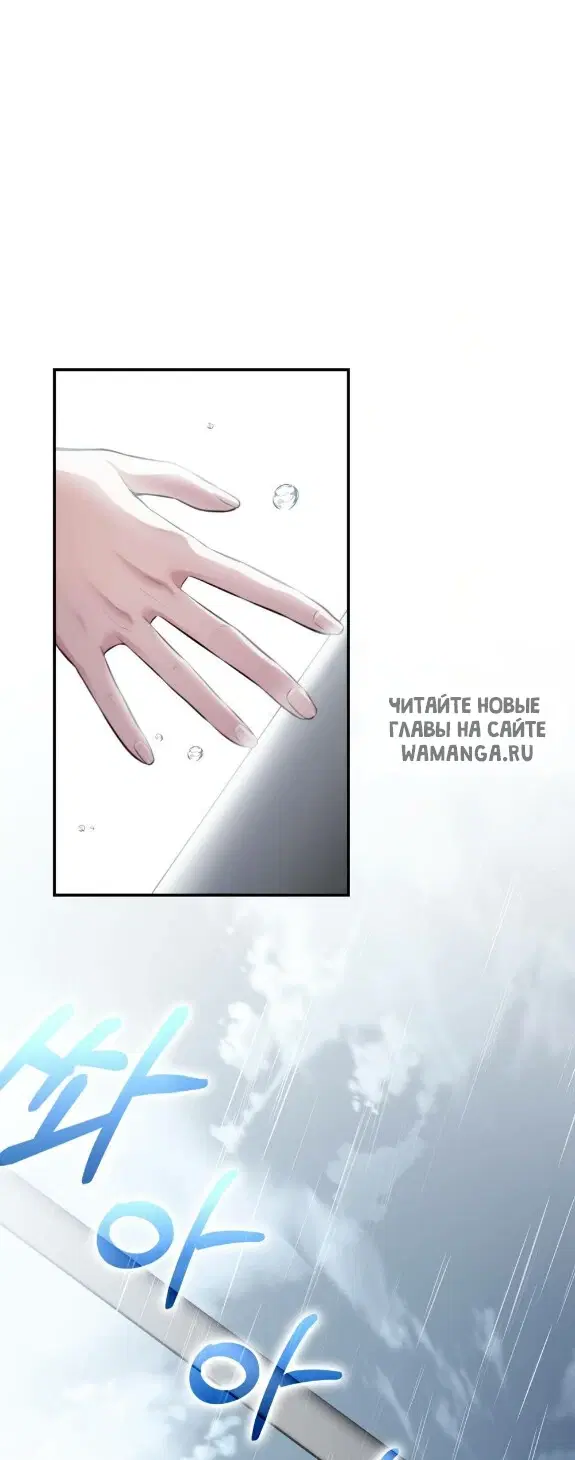 Page 81.000