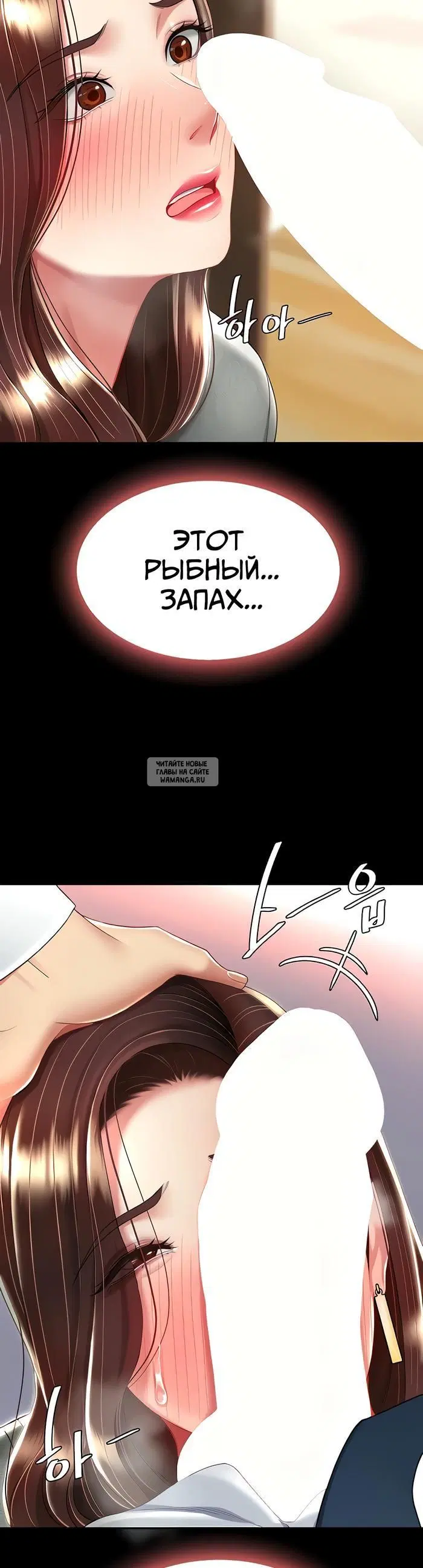 Page 41.000