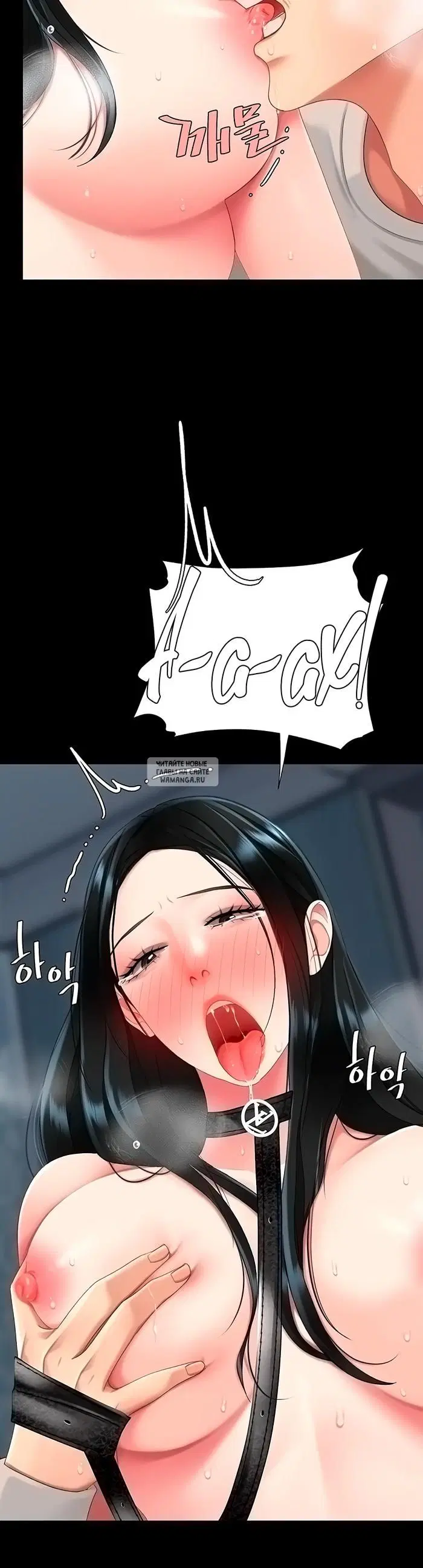 Page 41.000