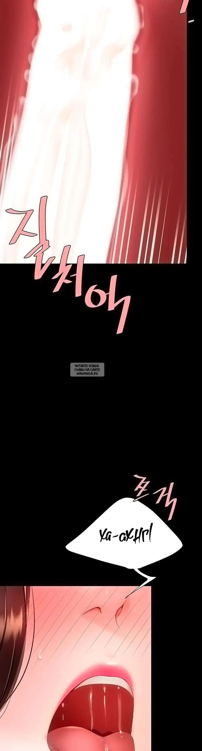 Page 55.000