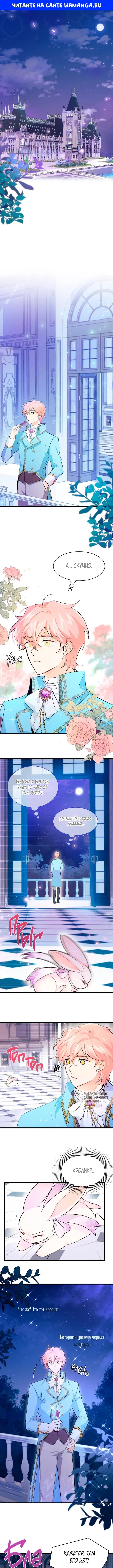 Page 1.000