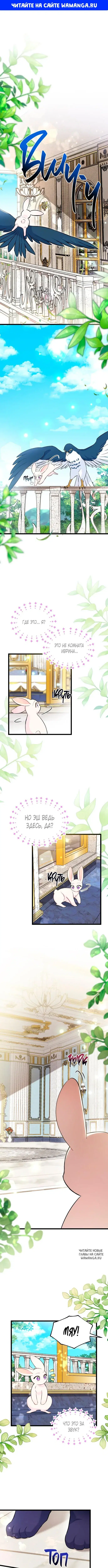 Page 1.000