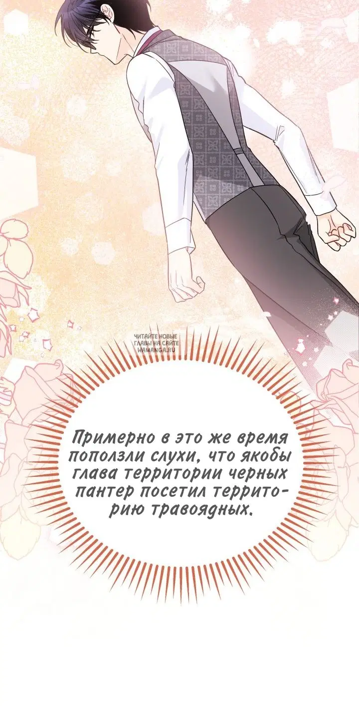 Page 25.000