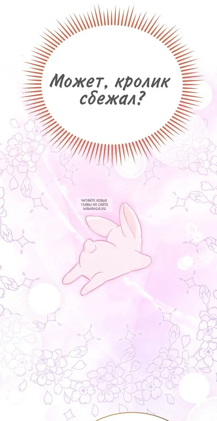 Page 26.000