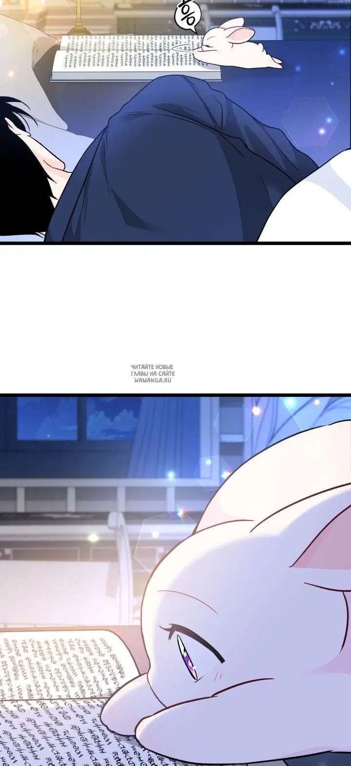 Page 26.000