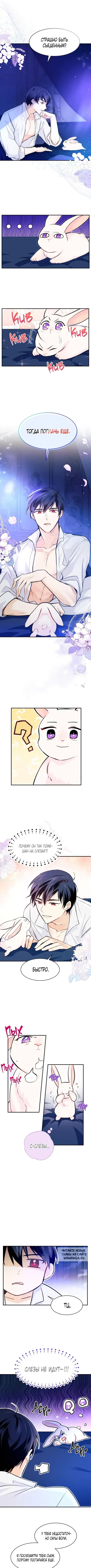 Page 2.000