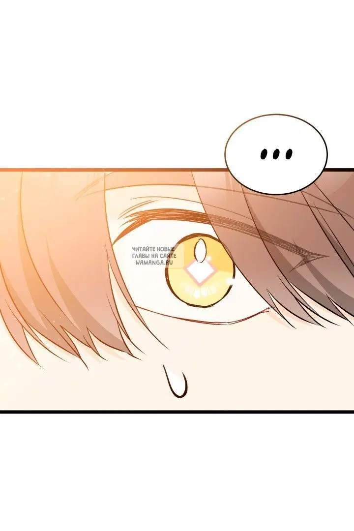 Page 35.000
