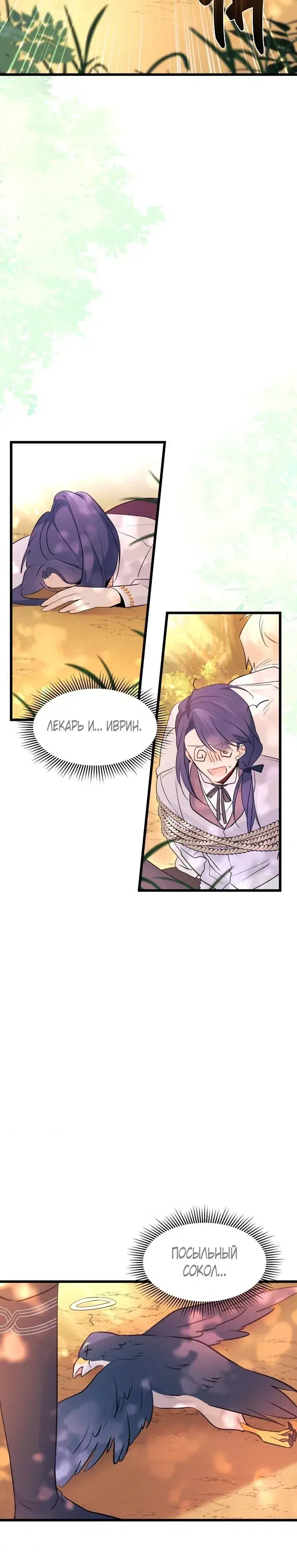 Page 3.001