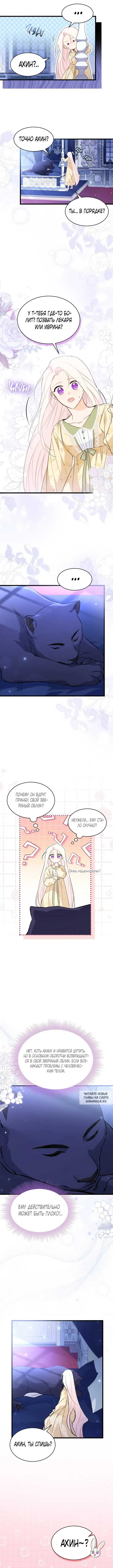 Page 3.000