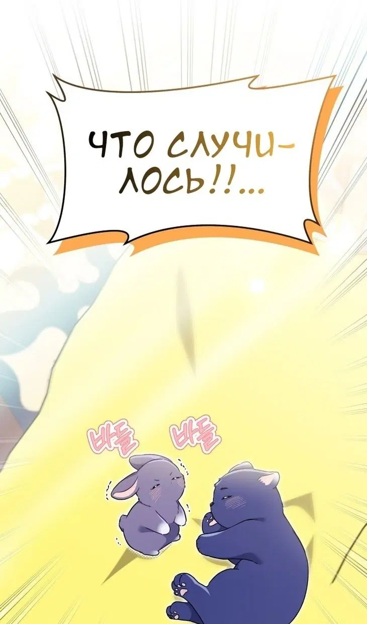 Page 46.000