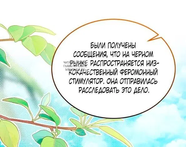 Page 48.000