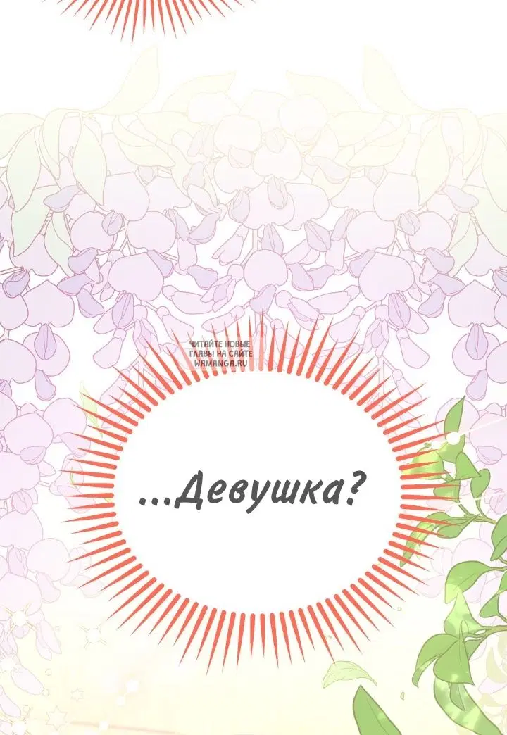 Page 49.000