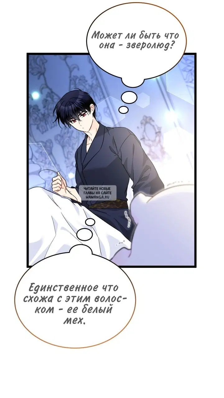 Page 40.000