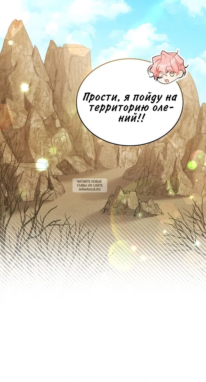 Page 41.000