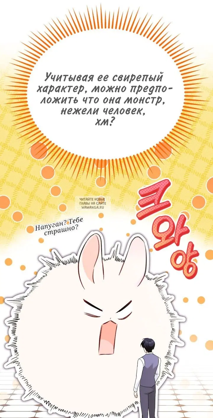 Page 41.000