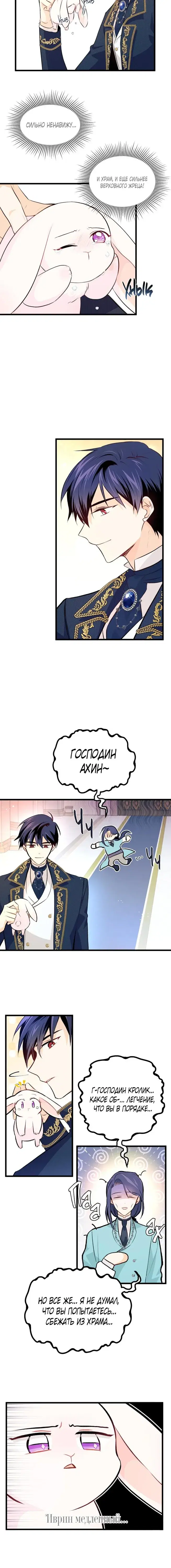 Page 4.001