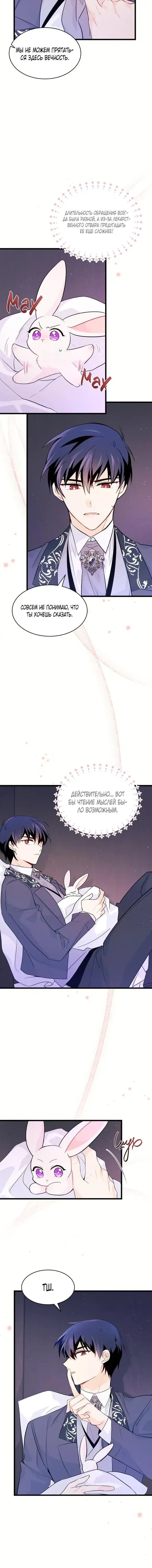 Page 4.001