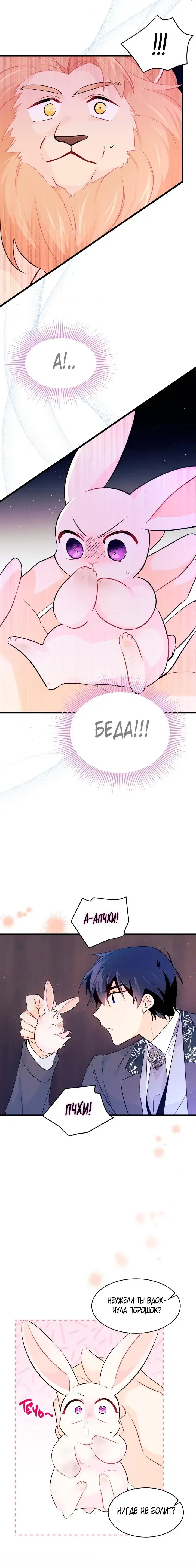 Page 4.001