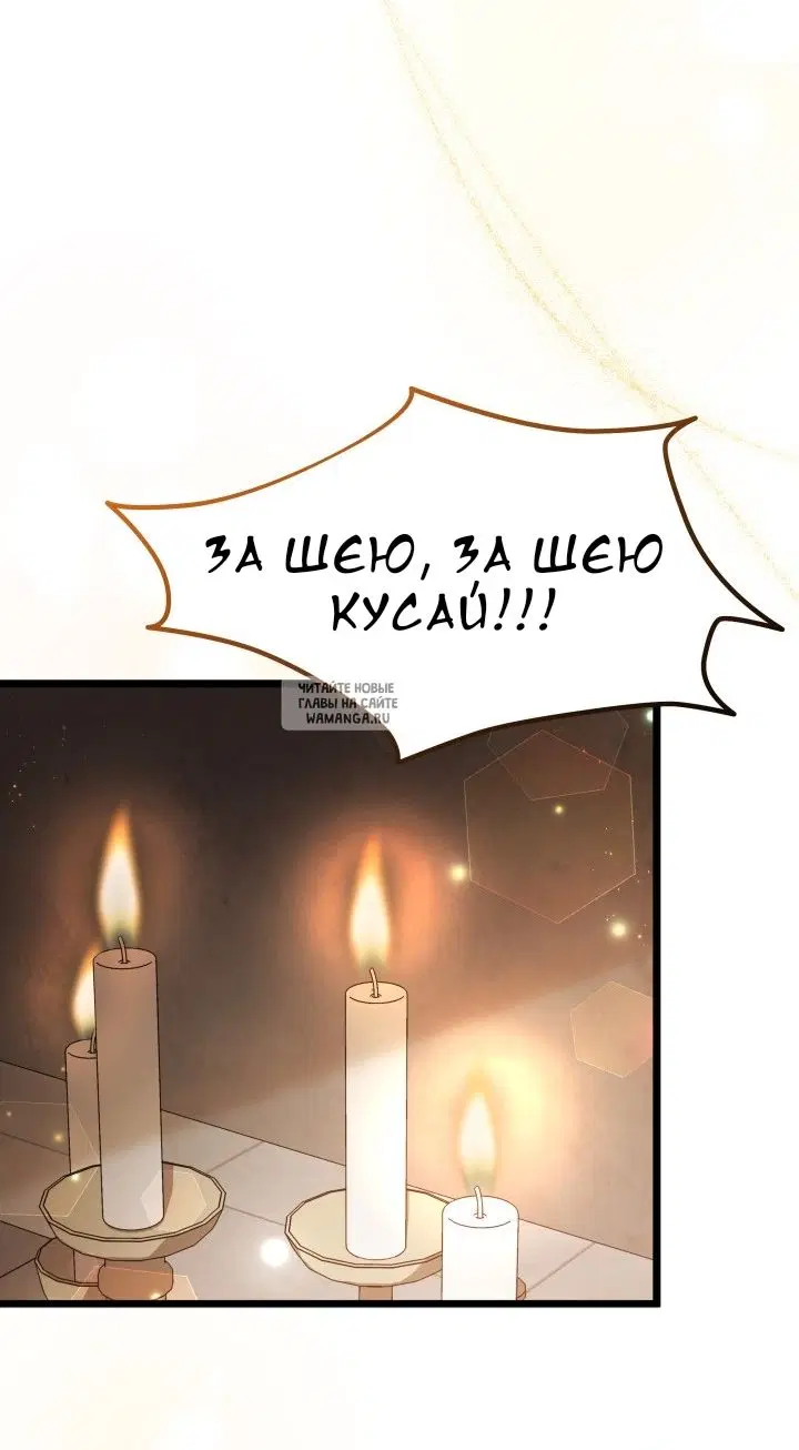 Page 42.000