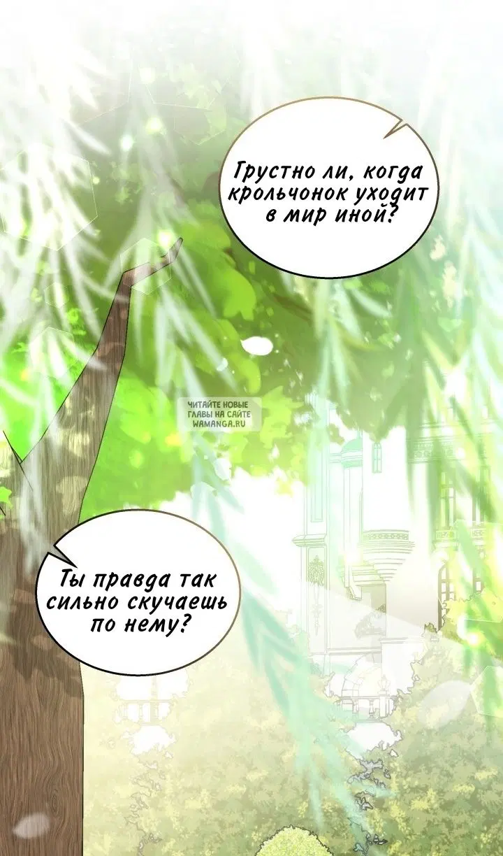 Page 43.000