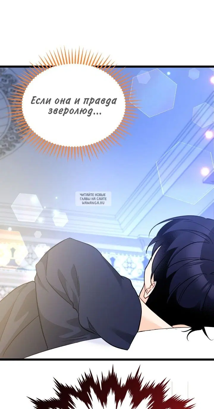 Page 43.000