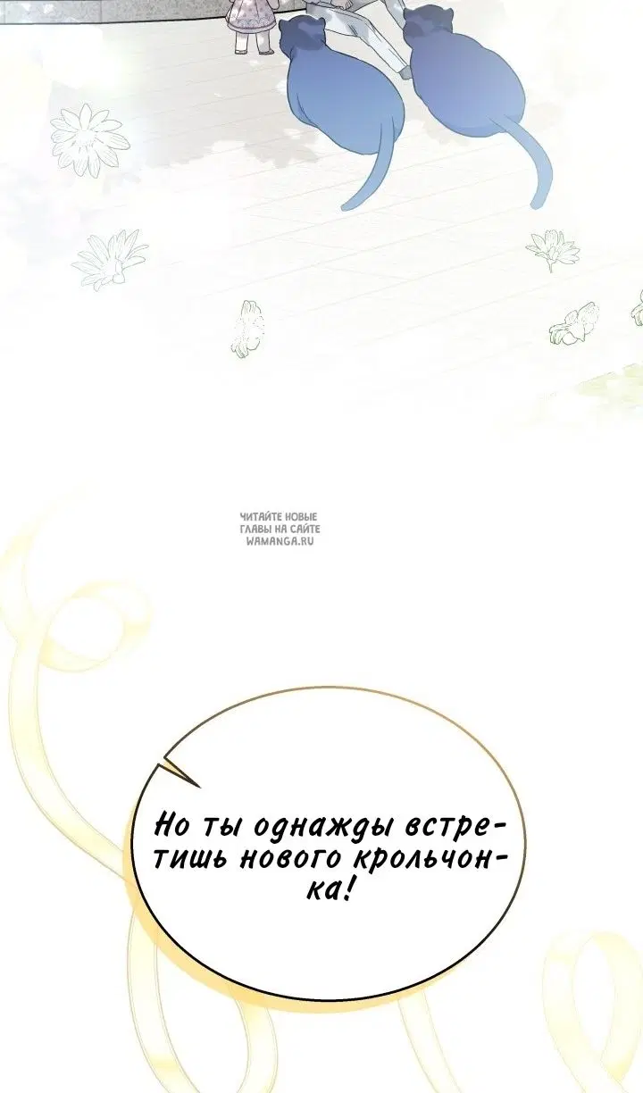 Page 56.000