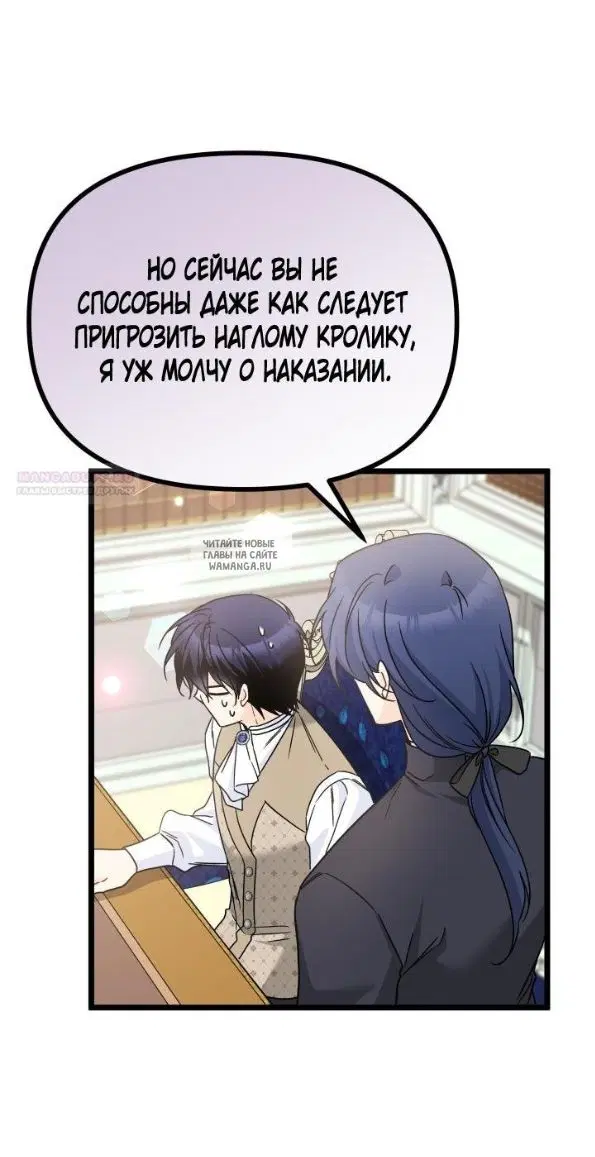 Page 50.000