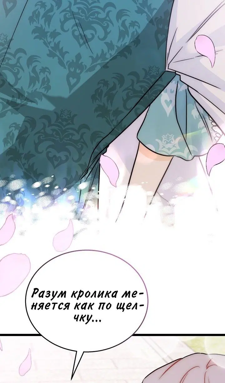 Page 50.000