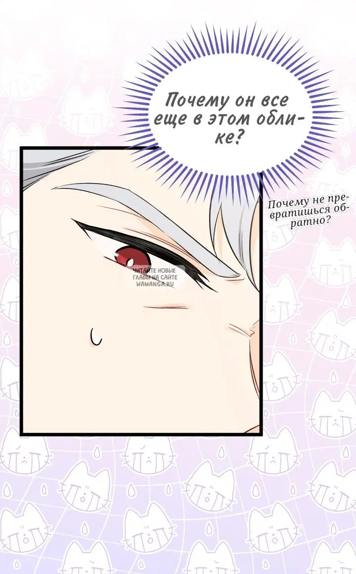 Page 51.000