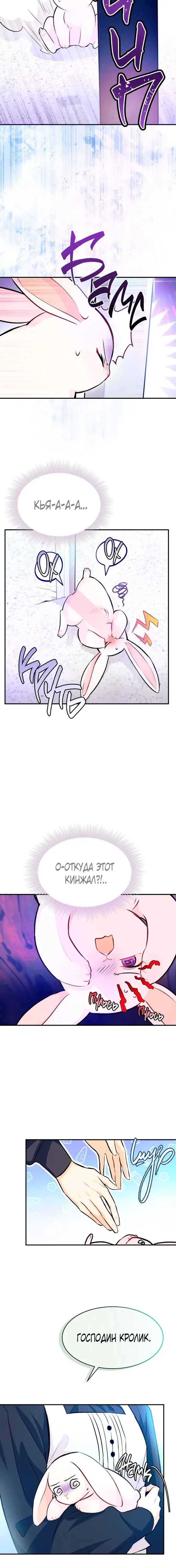Page 5.001