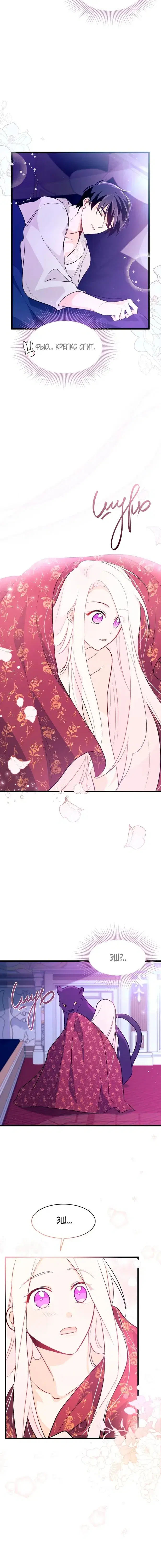Page 5.001