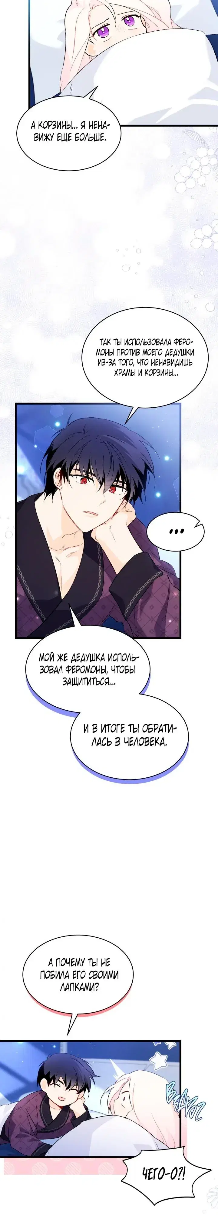 Page 5.001