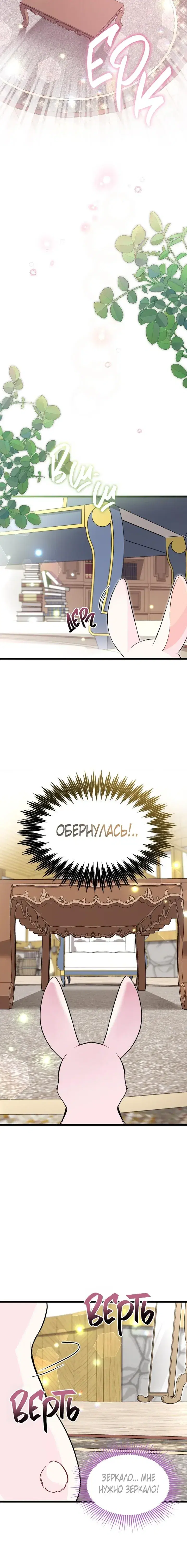 Page 5.001
