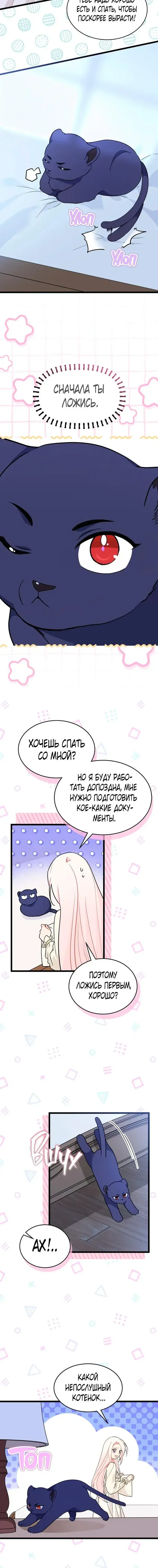 Page 5.001