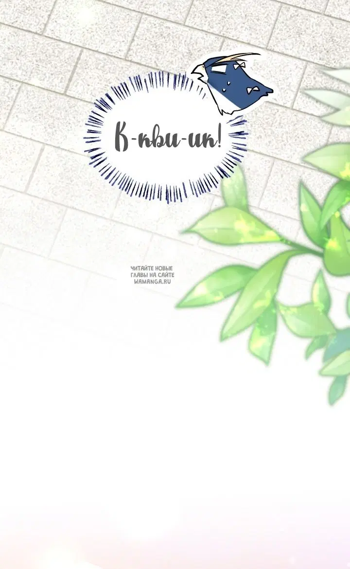 Page 52.000