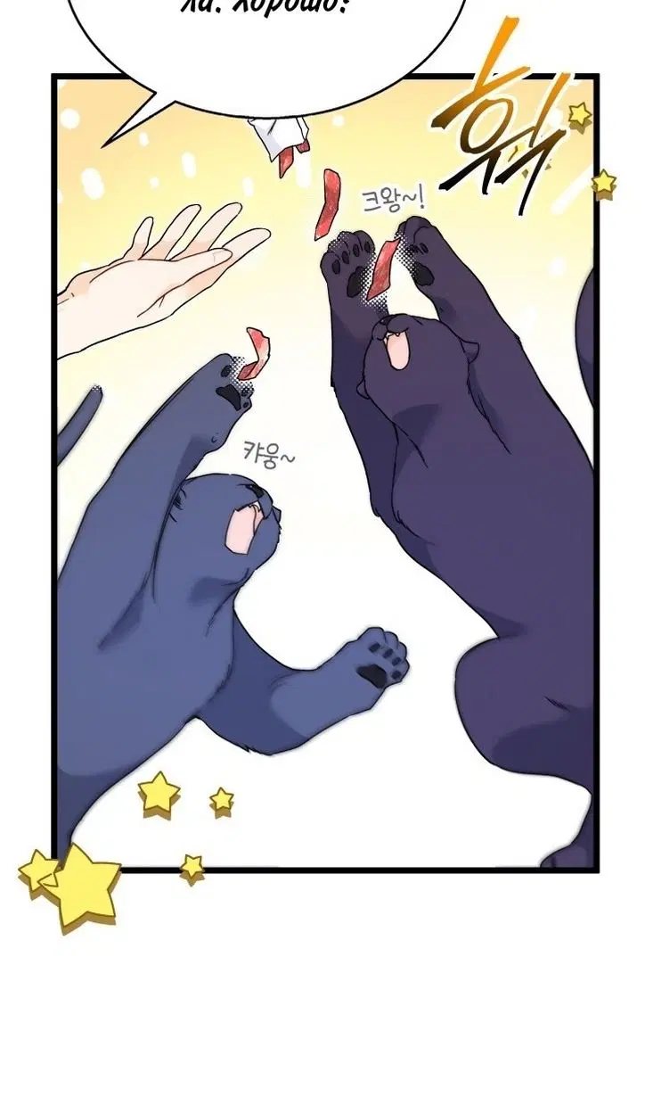 Page 64.000
