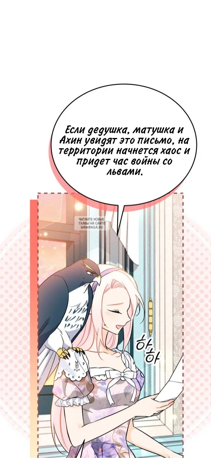 Page 65.000