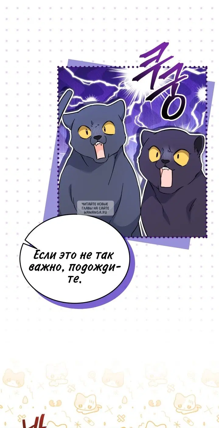 Page 61.000
