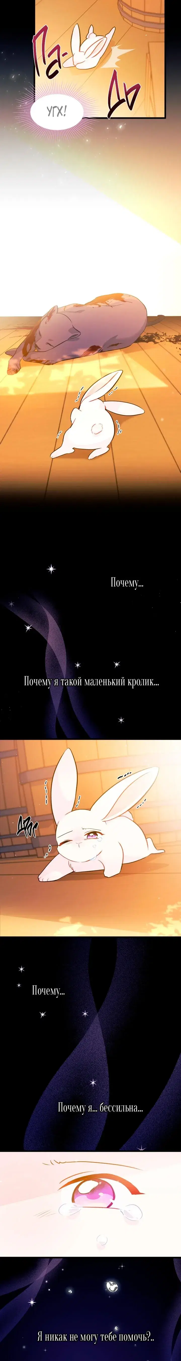 Page 6.001