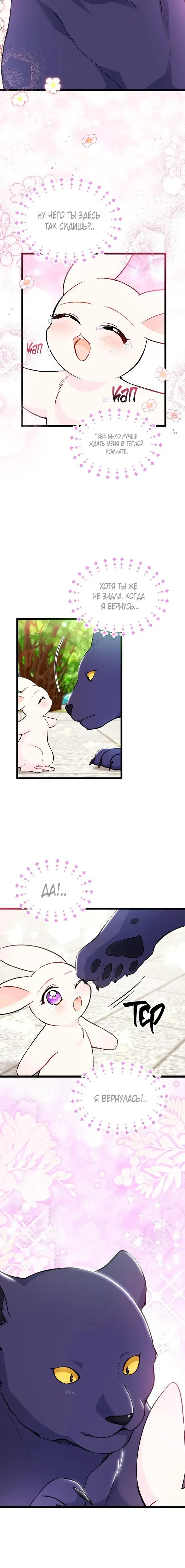 Page 6.001