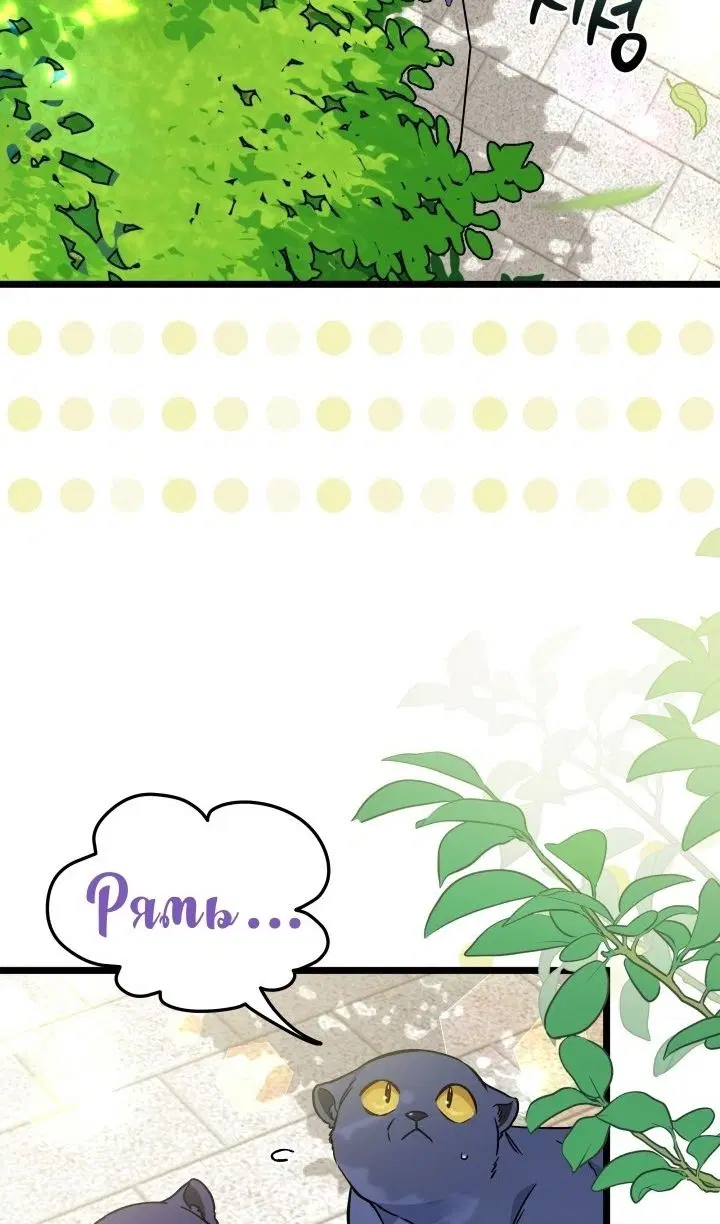 Page 74.000