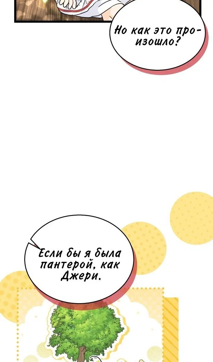 Page 79.000