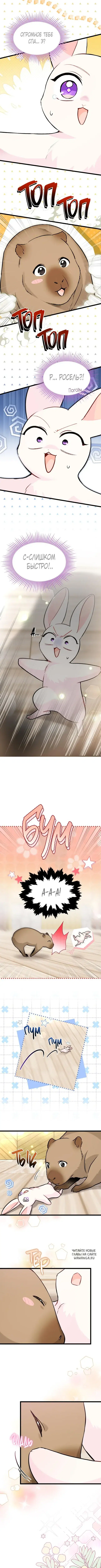 Page 7.000