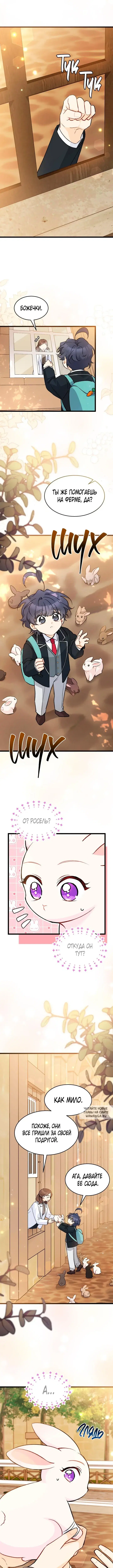 Page 7.000