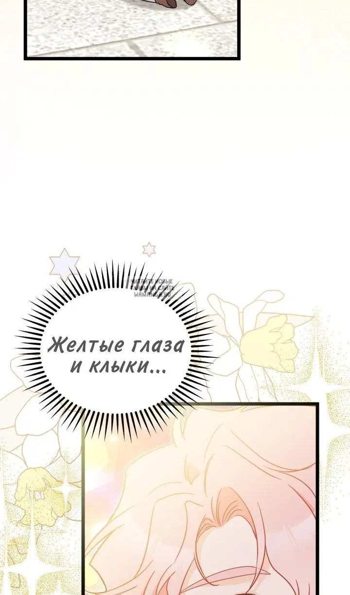 Page 82.000