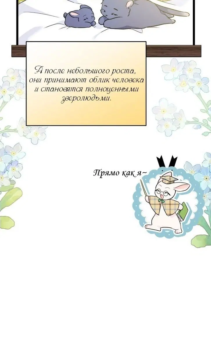 Page 95.000