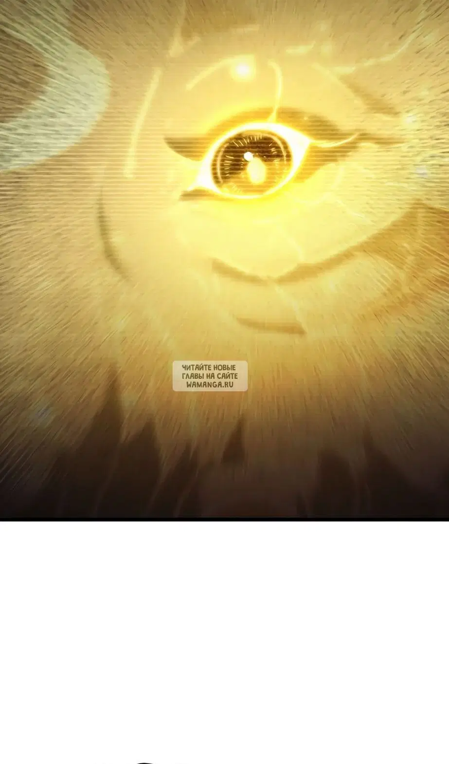 Page 29.000