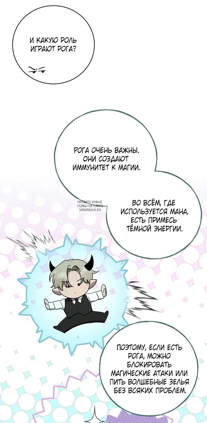 Page 25.000