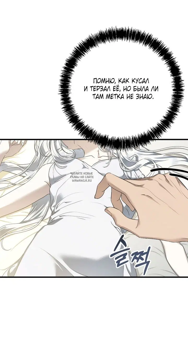 Page 41.000